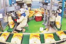 Packing rice for export at Loc Troi Group Joint Stock Company. (Photo: VNA)