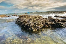 The beautiful natural coral ecosystem at Hon Yen, Phu Yen province. (Photo: VNA)