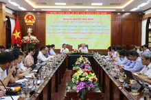 An overview of the meeting (Photo: binhdinh.gov.vn)