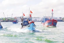 The fishing fleet of fishermen from Da Nang heads out to sea to harvest seafood. (Photo: Lan Anh)