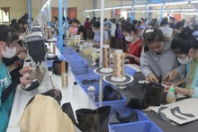 Many female ethnic minority workers in disadvantaged communes of Son La Province have been trained in sewing.