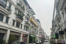 A cluster of adjacent villas in the eastern area of Ha Noi (Photo: HNV)