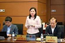 National Assembly deputies in a group discussion on November 5 (Photo: NDO)