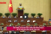 [Video] Prime Minister to propose earlier pay rise to improve public sector living standards