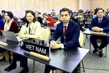The Vietnamese delegation at the 43rd session of UNESCO’s General Conference (Photo: VNA)