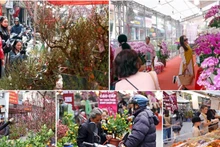 Hang Luoc Market: Ha Noi’s timeless Tet tradition in the Old Quarter (Photo: Viet Nam Pictorial)