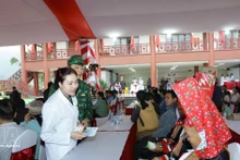 Medical personnel from the armed forces of Viet Nam and China jointly provide health check-ups for local residents. (Photo: VNA)