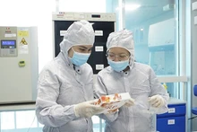 Viet Nam to continue strengthening social security policies in 2026 to improve living standards