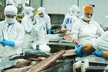 Seafood is one of the sectors recording strong export growth to markets across the Americas. (Photo: Nam Anh)