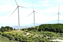 Wind turbines at the wind power project in the Cau Dat tea hill area, Lam Dong. (Photo: BAO VAN)
