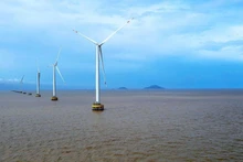 The wind farm has begun generating power along the coastal area of Hiep Thanh Ward, Ca Mau Province.
