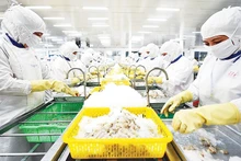 Many seafood enterprises have begun implementing blockchain technology to verify product origin and environmentally friendly production processes. (Photo: Thanh Dat)