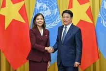 State President Luong Cuong (R) and Pauline Tamesis, United Nations (UN) Resident Coordinator in Viet Nam. (Photo: NDO/Thuy Nguyen)