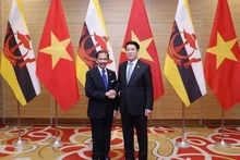 State President Luong Cuong (R) welcomes Sultan of Brunei Haji Hassanal Bolkiah (Photo: VNA)