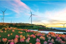 Le Hoang Men (Viet Nam) Green tourism