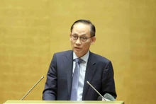 Acting Minister of Foreign Affairs Le Hoai Trung addresses the conference (Photo: VNA)