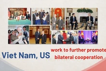 Viet Nam, US work to further promote bilateral cooperation