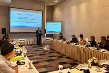 Viet Nam and Denmark launch phase 3 of the health cooperation programme