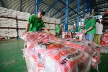 Packing rice for export at Chon Chinh Co., Ltd., Dong Thap. (Photo: DUC ANH)