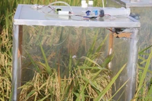 An emission measurement device is being piloted in paddy fields across the Mekong River Delta. (Photo: Anh Nguyet)