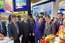 Deputy Prime Minister Tran Hong Ha visits a Vietnamese booth at the fair. (Photo: the Viet Nam Trade Promotion Agency)
