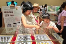 Visitors flock to see rare insect specimens at the Da dang sac mau con trung Viet Nam (The Diversity of Vietnamese Insects) exhibition at the Da Nang Museum. (Photo: nld.vn)
