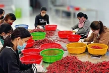 Workers have seen a significant increase in income in recent times. (Photo: HNV)