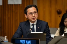 Ambassador Do Hung Viet, Permanent Representative of Viet Nam to the UN (Photo: VNA)