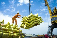 With strong contributions from exports of key commodities such as rice and seafood, Viet Nam’s total import–export turnover in 2025 has reached a record level of over USD 900 billion.