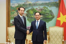 Deputy Prime Minister Bui Thanh Son (right) and Chinese Ambassador to Viet Nam He Wei at their meeting on November 17 (Photo: VNA)