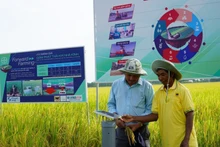 Farmers in An Giang province test a water-saving irrigation sensor station within the model of “low-emission rice cultivation for sustainable development of material rice farming areas for export in the Mekong Delta”. (Photo: VNA)