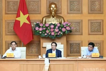 Prime Minister Pham Minh Chinh (C) addresses the meeting. (Photo: NDO/Tran Hai)