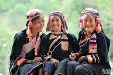 The Viet Nam Happy Fest 2025 helps spread Viet Nam’s message of happiness to the world. (Photo: Vu Linh)