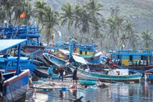 Hundreds of boats are damaged and washed ashore by waves in the Vung Chao area, Song Cau, Dak Lak Province after Storm No. 13. (Photo: Lam Phan)