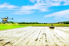 Farmers in Can Tho City apply high-tech solutions in production. (Photo: nhandan.vn)