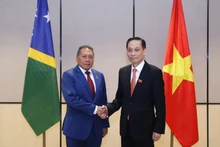 Minister of Foreign Affairs Le Hoai Trung (right) and Solomon Islands Minister for Foreign Afairs and External Trade Peter Shanel Agovaka at their meeting on November 11. (Photo: Ministry of Foreign Affairs)