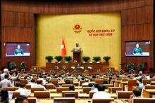 Lawmakers at the 9th session of the 15th National Assembly (Photo: VNA)