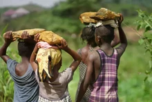 Nearly 138 million children were engaged in child labour in 2024 (Photo: UNICEF)