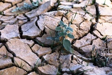 Central Asia has become one of the world’s most vulnerable regions in terms of water security. (Illustrative image/Photo: Xinhua)