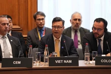 Vietnamese Ambassador to France Trinh Duc Hai (centre) speaks at the 2026 IEA Ministerial Meeting. (Photo published by VNA)