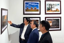 Visitors at the exhibition. 