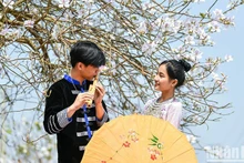 Culture needs a sustainable ecosystem, one that can self-nurture and expand. (Illutrative image/ Photo: THANH DAT)