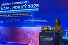 A representative from the American Chamber of Commerce in Viet Nam speaks at the forum.