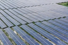 The solar panels at the Phong Phu solar farm in Lam Dong Province. (Photo: Van Duy)