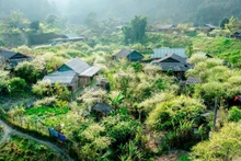 Situated at an altitude of over 1,500 metres, it enjoys cool weather year-round, with mist enveloping the mountains and forests. (Photo: Nhat Thanh)