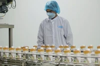 Processing agricultural products at Thabico Tien Giang Food Industry JSC