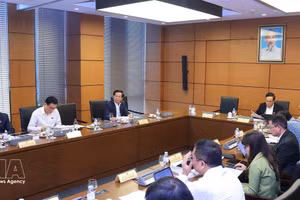 The delegation of National Assembly deputies from Ho Chi Minh City holds a group discussion. (Photo: VNA) 