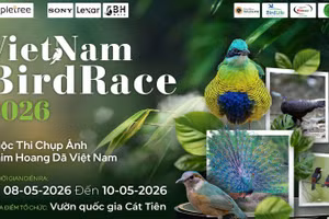 This marks the third edition of Viet Nam’s largest wildlife bird photography competition. (Photo: the organising committee)