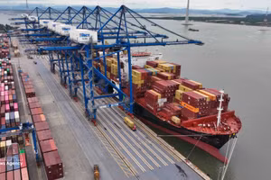 Exports and imports are handled at Hai Phong International Container Terminal. (Photo: VNA) 