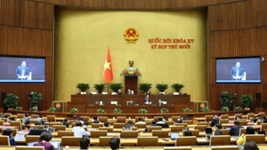 An overview of the plenary session at the 10th Session of the 15th National Assembly. (Photo: DUY LINH)